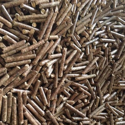 杂木低调看nba直播_爱看球jrs直播_极速体育触屏版，松木低调看nba直播_爱看球jrs直播_极速体育触屏版